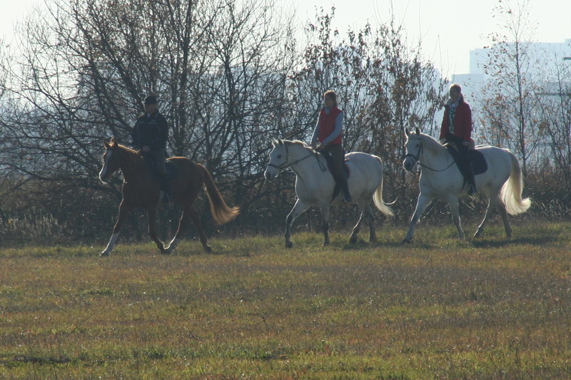 IMG_0993.jpg1.jpg"%20height="533"%20width="800